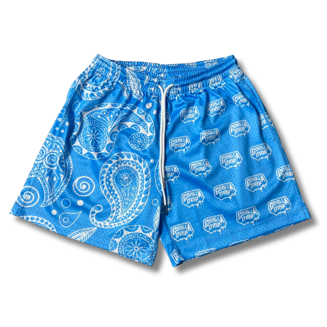 Blue Paisley Shorts￼